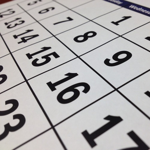 Terminverlegung Baumschnittseminar