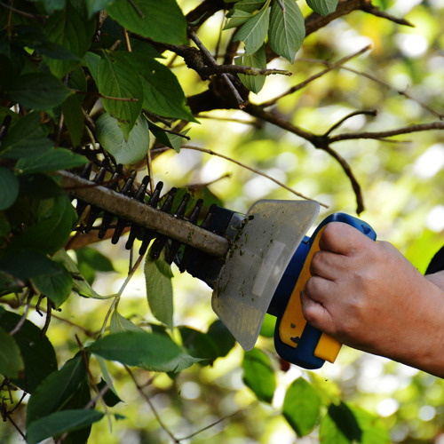 Gartenbegehung Anlage I